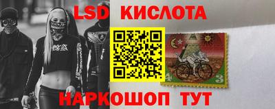 шишки Обнинск