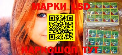 шишки Обнинск