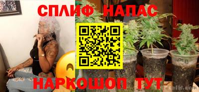 шишки Обнинск