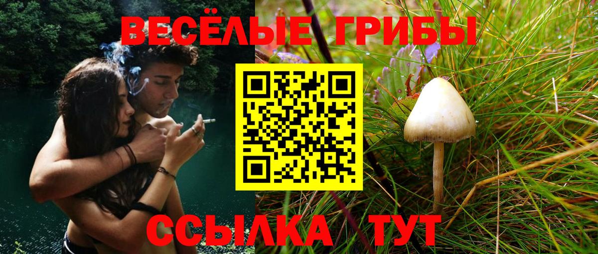 Саранск  Галлюциногенные грибы мицелий  Галлюциногенные грибы прущие грибы  Вход с VPN 